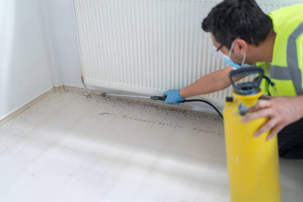 Best Pest Removal Services  in Belmar, NJ